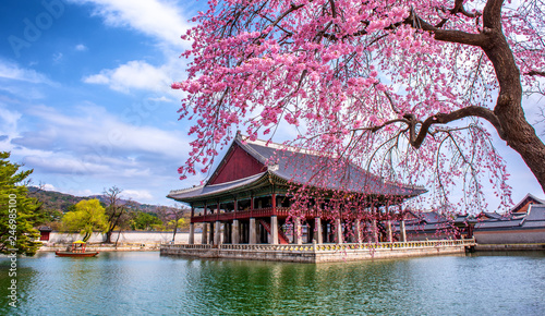 gyeongbokgung palace in spring at Seoul city South Korea photo