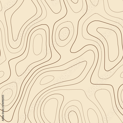 Topographic map. Admirable topographic map. Seamless design, extra tileable isolines pattern. Vector illustration.