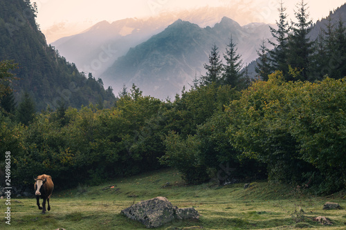 caucasus georgia hiking