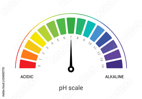 pH scale indicator chart diagram acidic alkaline measure. pH analysis vector chemical scale value test