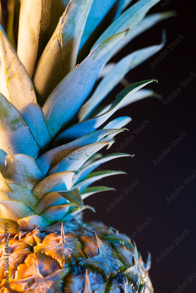 Obraz premium close up of pineapple texture