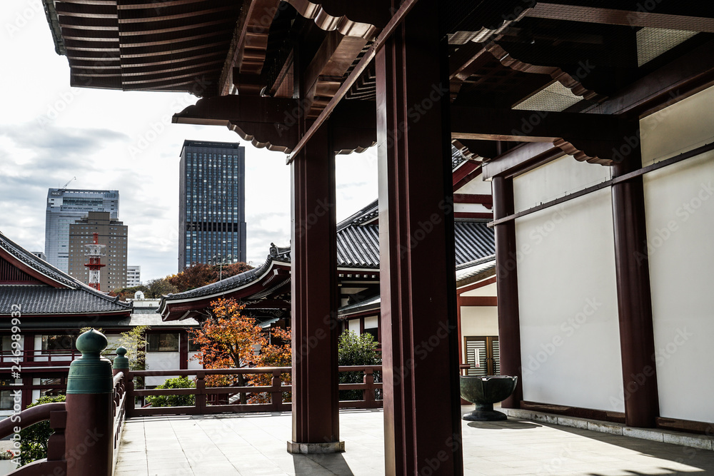 Fototapeta premium 増上寺と東京の街並み
