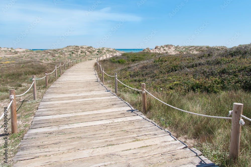 Wooden walk to the beach