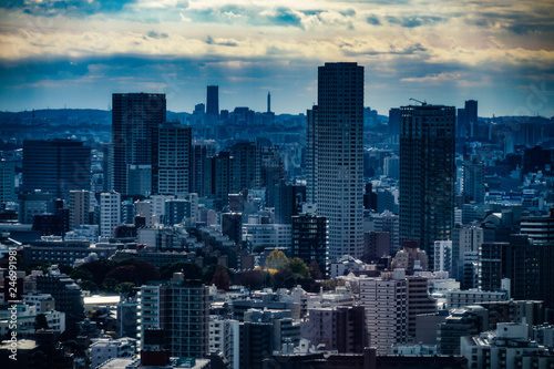 東京タワー展望台から見える東京の街並み © kanzilyou