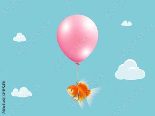 Foto Goldfish fly with balloon