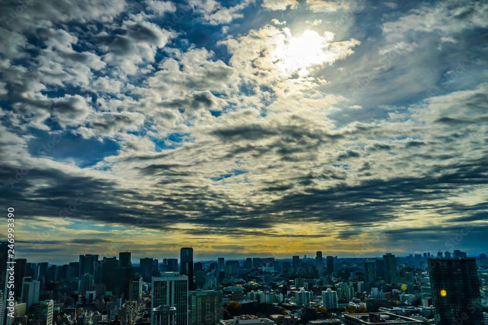 Fototapeta premium 東京タワー展望台から見える東京の街並み