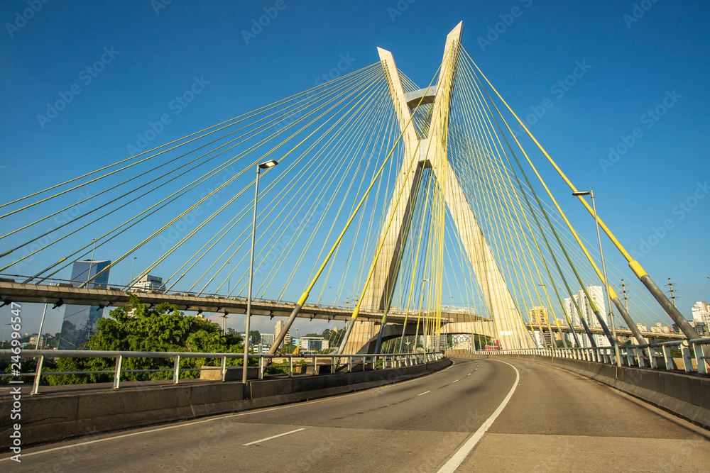 Cable-stayed bridge in the world, Sao Paulo Brazil, South America, the city's symbol 
