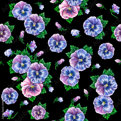 Viola tricolor is isolated on a black background. Watercolor colorful pansies flowers drawing for fabric design. Watercolor seamless flowers pattern.