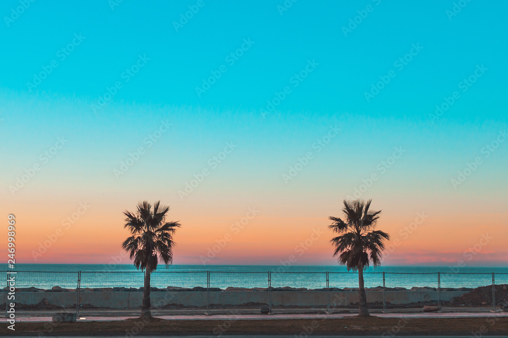 Fototapeta premium Sunset and palm trees on the beach. Travelling and vacation 
