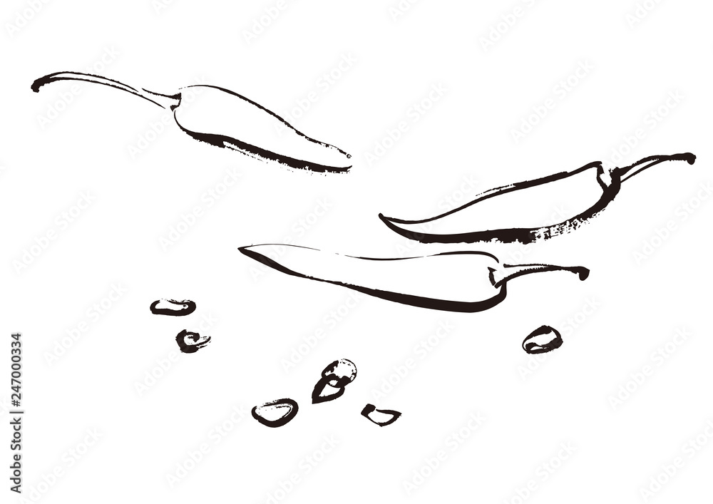 線画２ トウガラシのイラスト Stock ベクター Adobe Stock