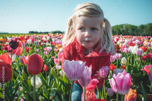 Portrait of a Caucasian toddler girl blond smiling standing in a colorful tulip field in the Netherlands, Holland