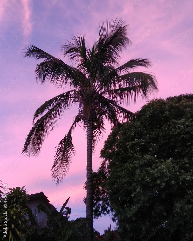 Obraz premium Pink sky