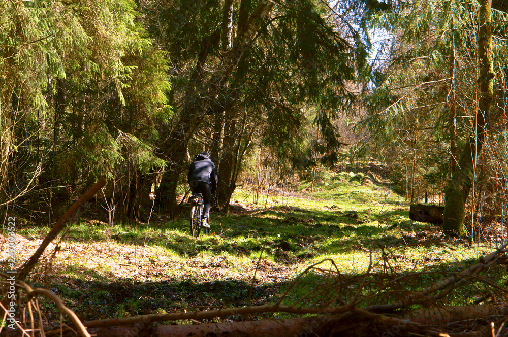 Obraz premium The cyclist in the deep woods. Cyclist rides through dense green forest.