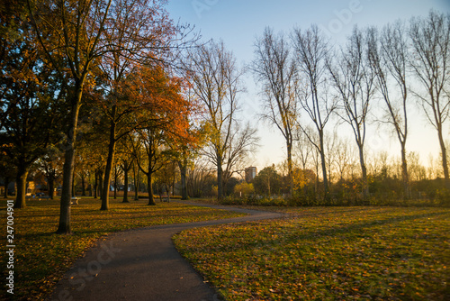 Beautiful autumn landscape in a park in Eindhoven city, Holland