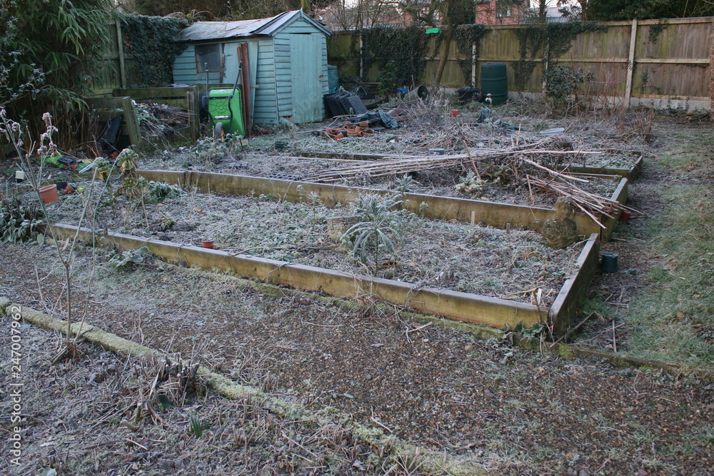 Winter landscape of wooden decaying old shed in allotment garden with