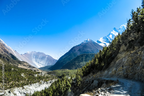 Way in Upper Pisang Valley, Annapurna Circuit Trek, Nepal. Clear sky above the peak. Picturesque landscape, small trees on the sides of the gorge. White Himalayas mountain peaks in the back
