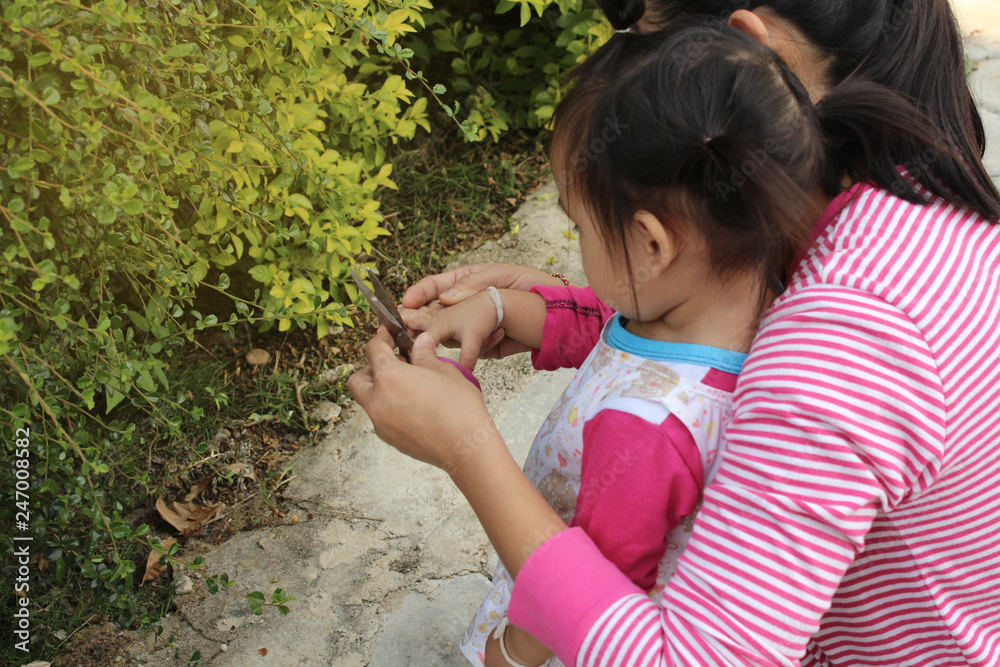 Mother taught 2-year-old daughter using scissors to cut branches. Mother taught 2-year-old daughter using scissors to cut branches.