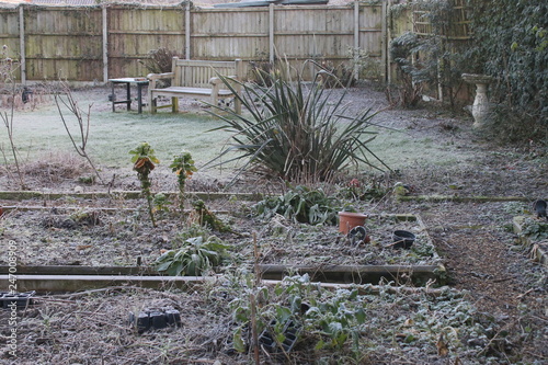 Landscape garden view of raised vegetable bed in frost with hard white ground and winter plants across grass lawn to furntiure of bench and table with fence background frozen Spring day photo