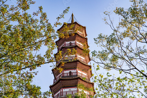 Chigang Taguta, Guangzhou, China photo