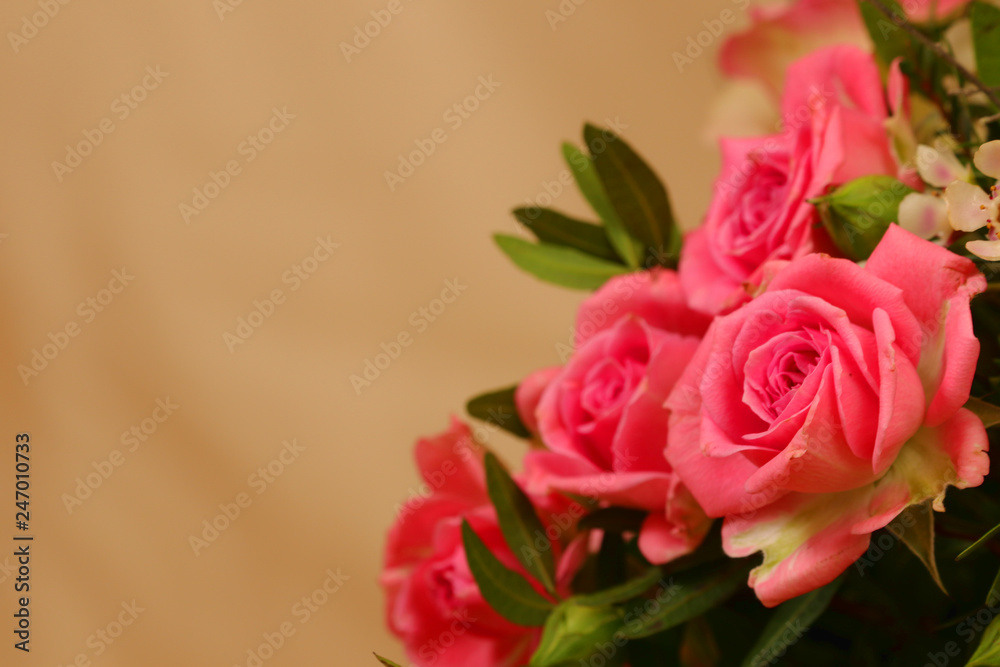 Fototapeta premium romantischer rosa blumenstrauß
