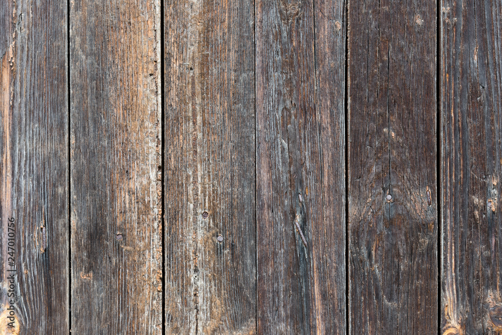 Texture of vertical old painted wooden boards for background and design