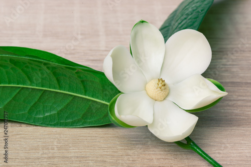 Fototapeta Naklejka Na Ścianę i Meble -  White magnolia flower and green leaf on wooden desk.