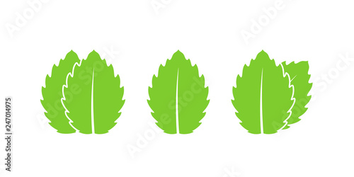 Mint logo. Isolated mint on white background