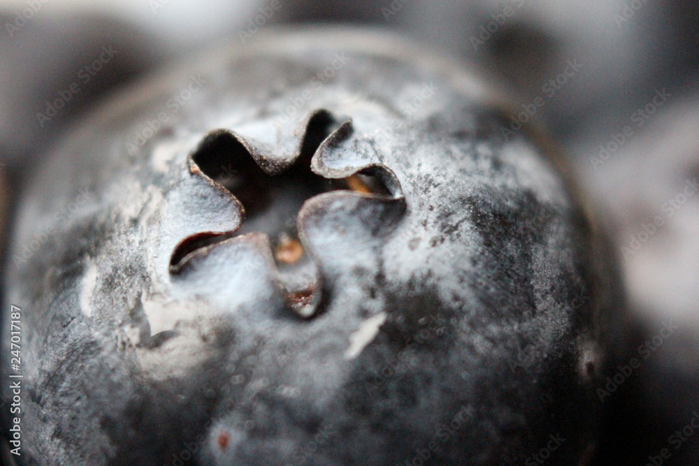 Obraz premium A macro photo of the top of a blueberry, shallow depth of field. Out of focus blueberries in background