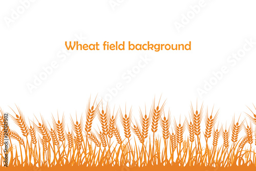 Vector silhouette of wheat. Wheat in the field on a white background