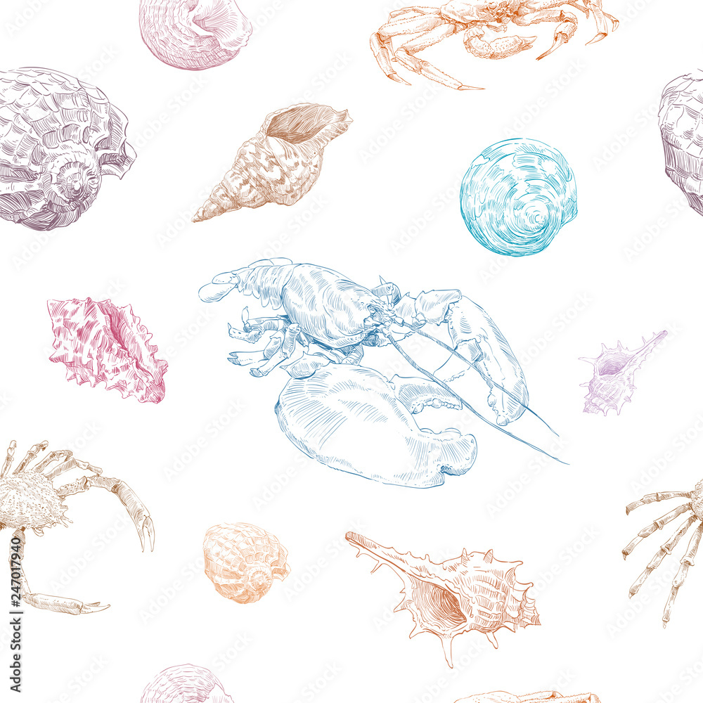 Seamless hand drawn seashells and crabs pattern backgrounds. Marine ...