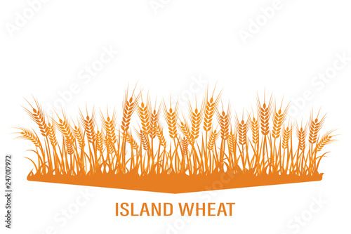 Vector silhouette of wheat. Wheat in the field on a white background