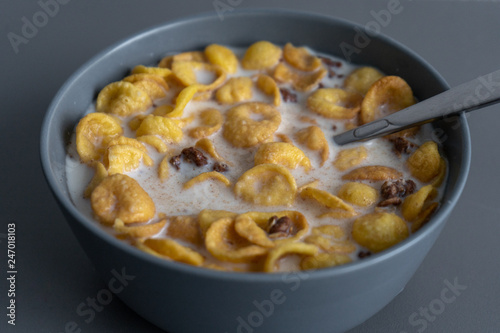 Bowl of cereal with milk. Close-up