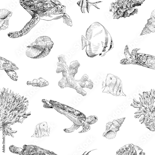 Seamless hand drawn seashells, fish, crabs, corals pattern backgrounds. Marine theme wallpaper. Vector illustration.