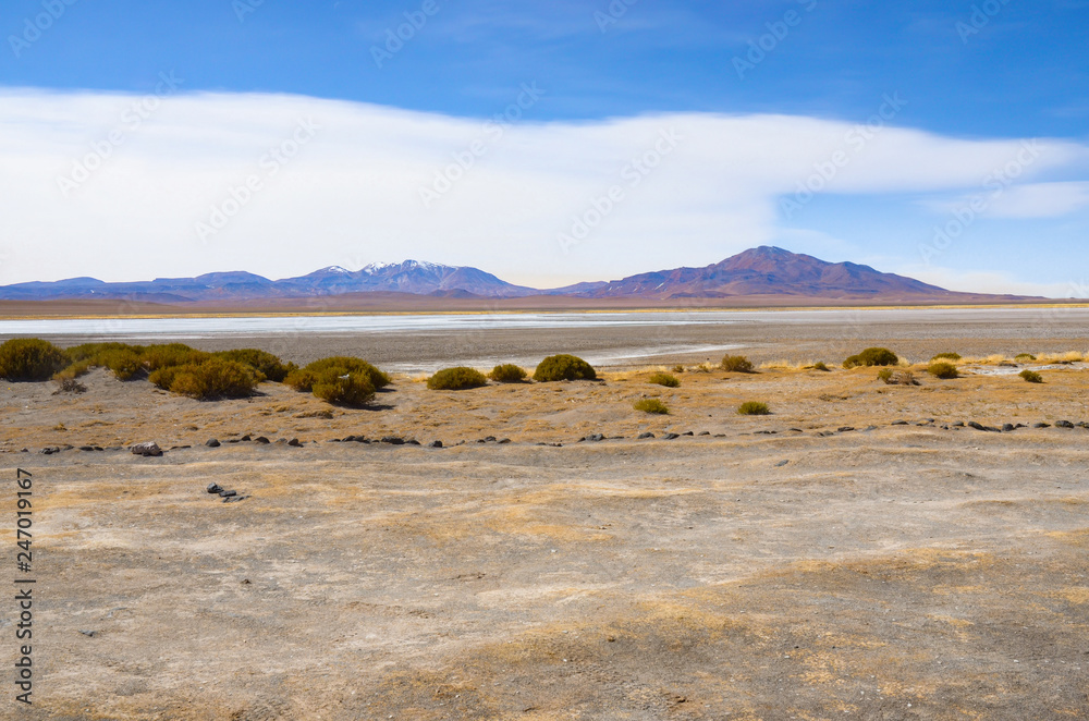Salt Tare, Desert of the Atacama, Chile