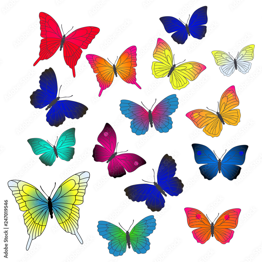 Vector background with flying butterflies