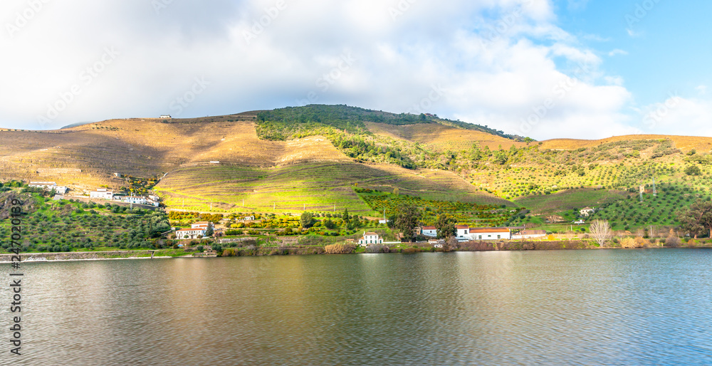 Douro Valley riverside vineyards Landscape Portugal