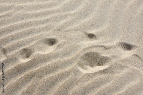 Fine sand and wind drawings