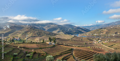 Douro Valley vineyards terraces Landscape in Winter Portugal