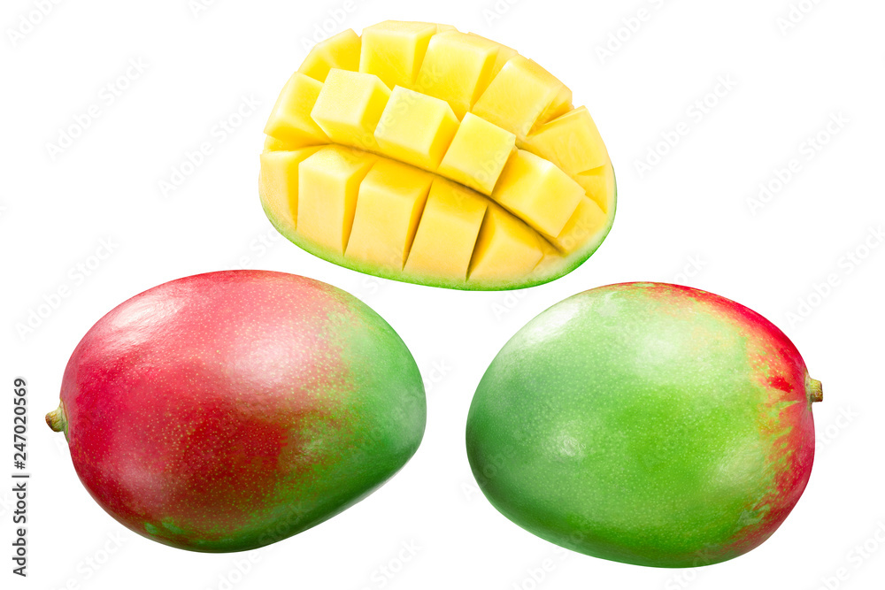 Mango m. indica, whole and styled, paths Mango m. indica, whole and styled, paths
