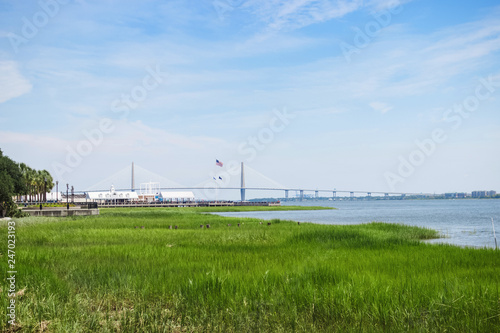 Beautiful summer landscape with green grass in the foreground, a bridge in the center and a clear blue sky. The famous bridge in the city of Charleston. Charleston,South Carolina / USA - July 21, 2018 © Liudmila