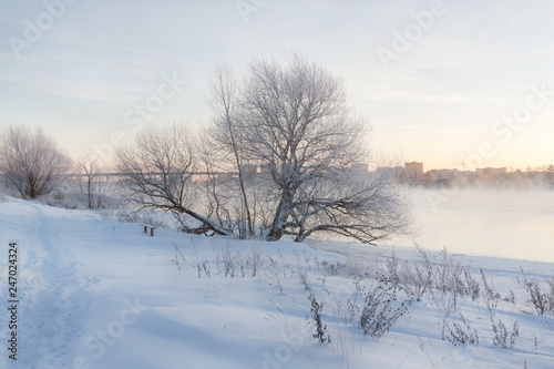 Winter landscape in the early morning overlooking the city of Dubna and the bridge over the Volga. Frosty fog obscures the banks of the river. The tops of the trees are covered with hoarfrost.