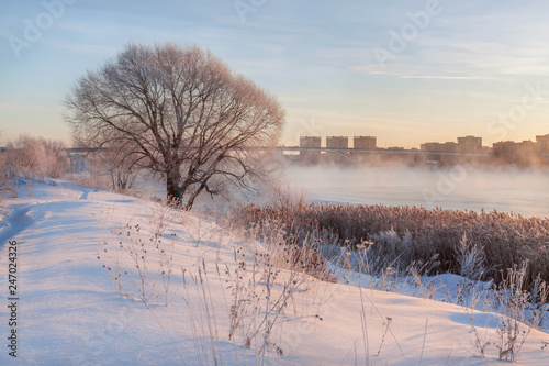 Winter landscape in the early morning overlooking the city of Dubna and the bridge over the Volga. Frosty fog obscures the banks of the river. The tops of the trees are covered with hoarfrost. © Dmitry