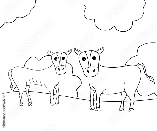 Fat and Lean Cows of Pharaohs Dream in the Story of Jospeh
