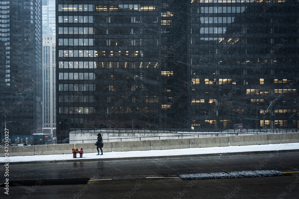 Braving the Winter