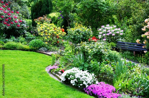Fototapeta Naklejka Na Ścianę i Meble -  beautiful garden