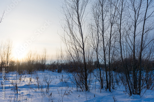 the sun sets over the horizon in the winter forest