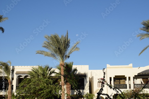 Facade of Hotel with palm trees   Egypt