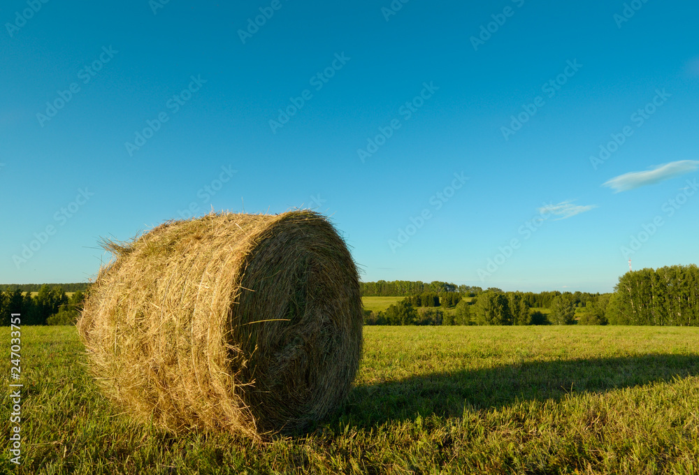 fresh hay roll