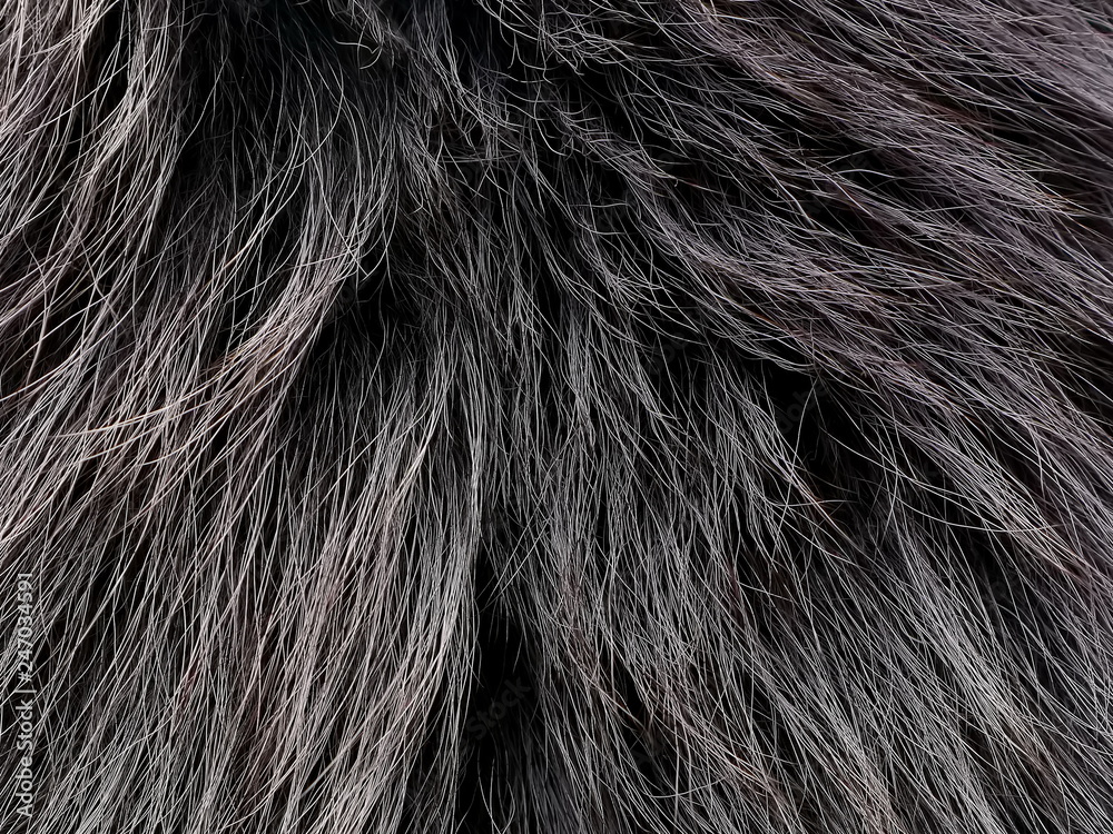 wolf fur texture