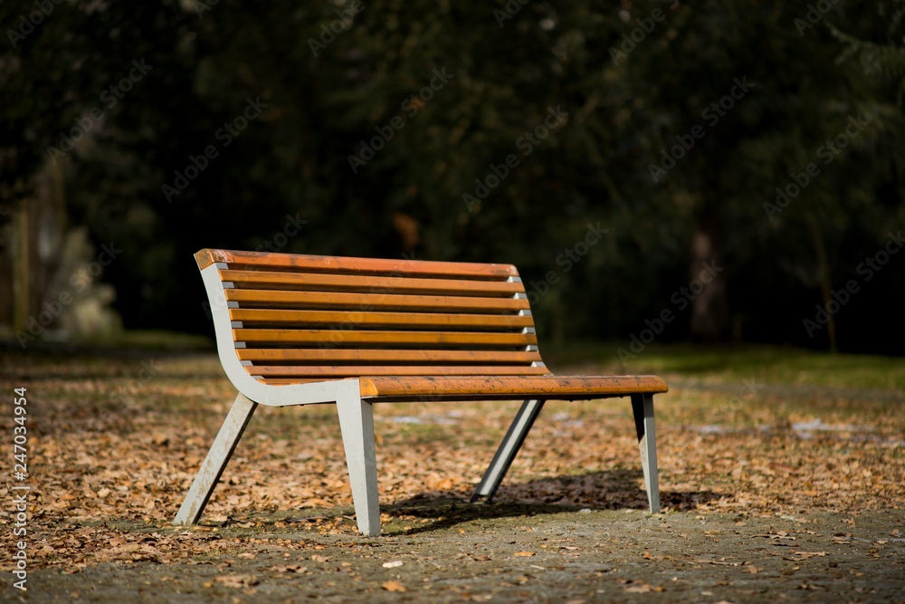 Bench in park, resting in nature background. Bench in park, resting in nature background.
